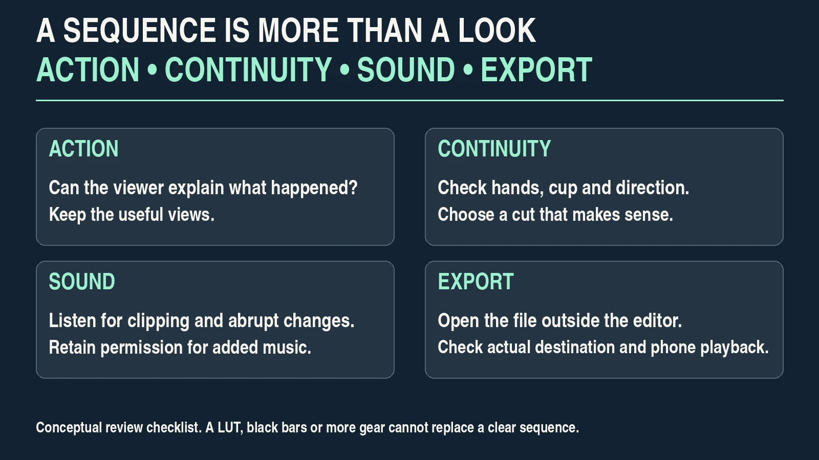 Video review checklist covering understandable action, continuity, sound and exported playback.