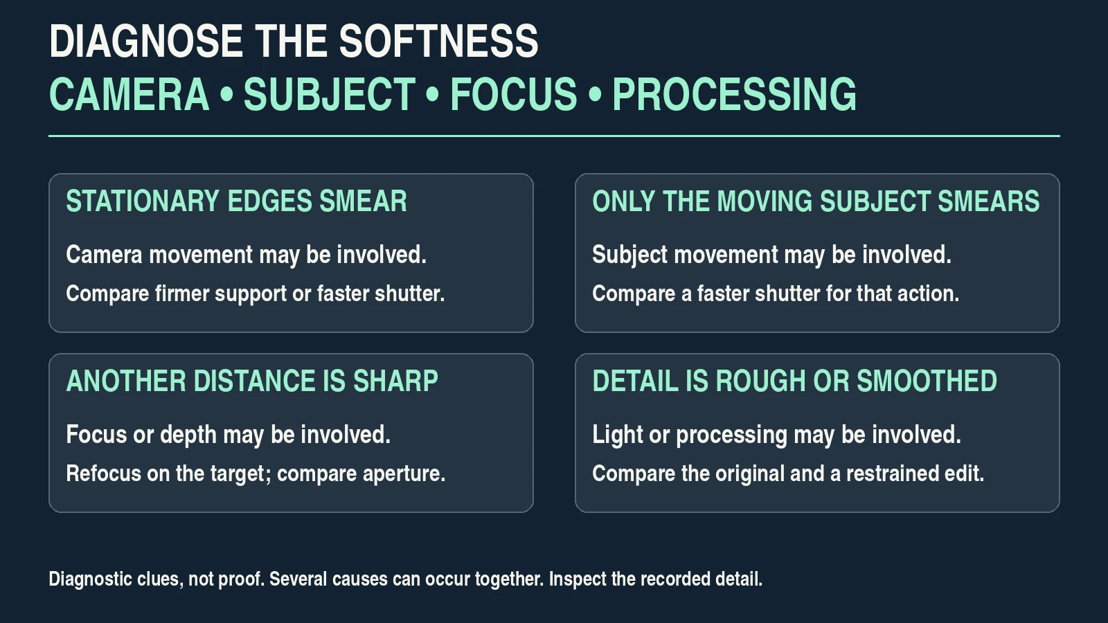 Diagram distinguishing camera movement, subject movement, focus errors and processing problems in soft photographs.